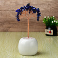 Pachira Aquatica with Multi-colored Apples and Porcelain Base