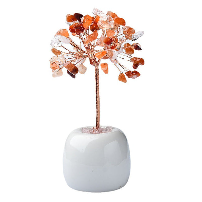 Pachira Aquatica with Multi-colored Apples and Porcelain Base