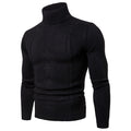 Men's Pullover Turtleneck Cable Basic Knit Sweater