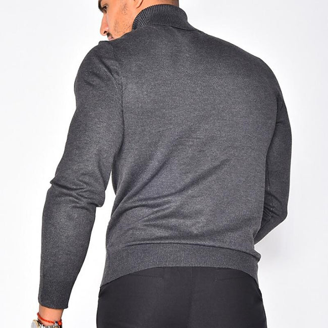Men's Pullover Turtleneck Solid Color Basic Knit Sweater