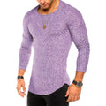 Men's  Long Sleeve Striped Texture Crew Neck  Vintage Casual