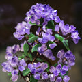 Natural Amethyst Fortune Tree Ornaments