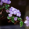 Tranquil Lavender Crystal Blossom Tree in Serene Blue Porcelain Vase