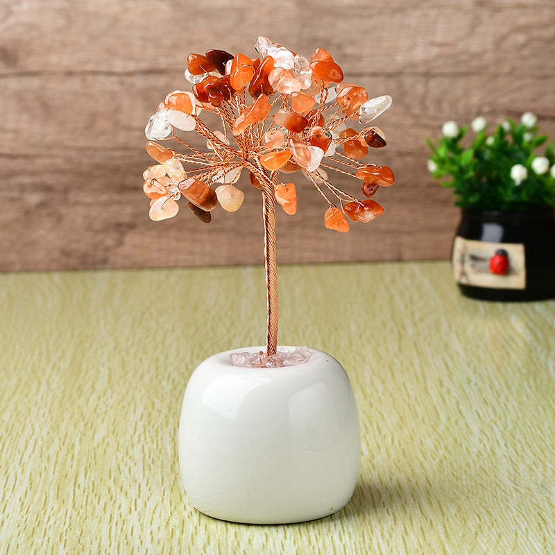 Pachira Aquatica with Multi-colored Apples and Porcelain Base