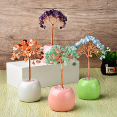 Pachira Aquatica with Multi-colored Apples and Porcelain Base