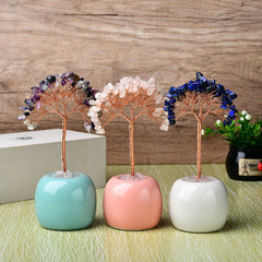 Pachira Aquatica with Multi-colored Apples and Porcelain Base