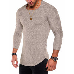 Men's  Long Sleeve Striped Texture Crew Neck  Vintage Casual